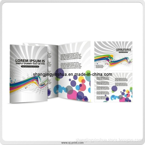 Advertising Brochure with Custom Design and Logo Printing (PB015)